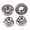 Stainless Steel Flange Nuts